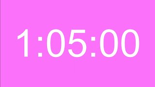 1 Hour 5 Minute Timer - 65 Minute Countdown Timer