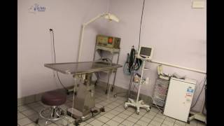 Six Forks Animal Hospital Office Tour