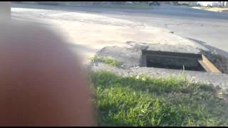 fail ollie (mini gap) (skate)