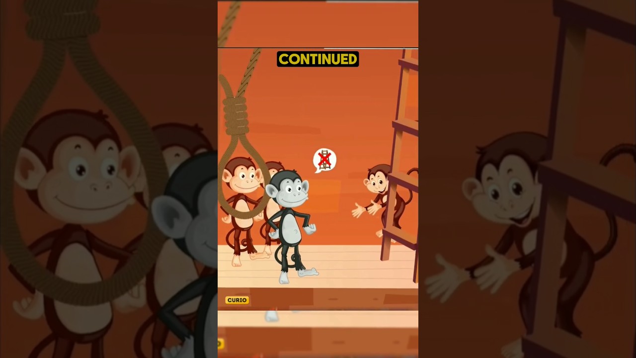 Monkeys ladder 🪜 experiment! 