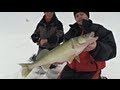 "Ridiculous Rattle Walleye & Burbot Brothers" Full Length (TV Show 3) - Uncut Angling - Jan. 21