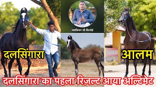 5 साल कड़ी मेहनत के बाद बना सांचौर का एक नंबर घोड़ों का फ़ार्म ||Shree Vileshwar Stud farm9982930629