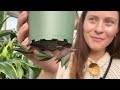 Me Near With Jobs Plants
