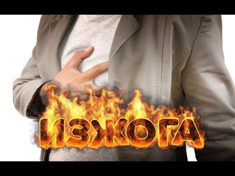Ученый назвал пять простых правил, как никогда не толстеть