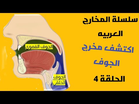مخرج الجوف بالتفصيل اكتشف هذا الكنز