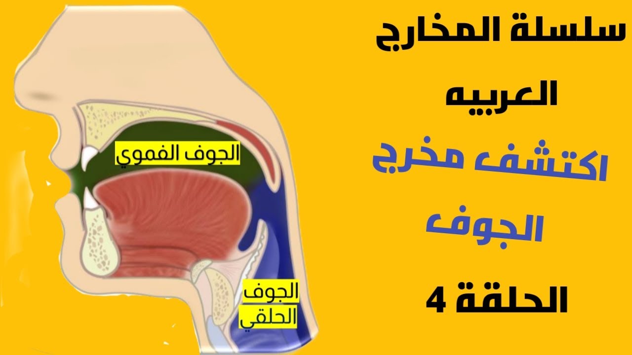 مخرج الجوف بالتفصيل! اكتشف هذا الكنز