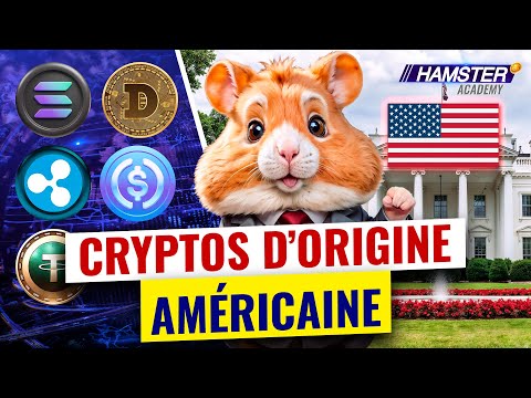 Solana, XRP (Ripple), USDC & Tether, Dogecoin. Top 5 des cryptos américaines ⚡️ Hamster Academy