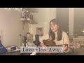 Love Flew Away Laufey Adam Melchor Cover