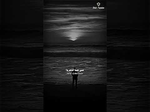 حالات واتس حمزة نمرة عالم كدابة Hamza Namira