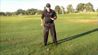 Fundamentals Weight Distribution