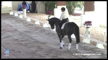 What Makes a Piaffe a Ten