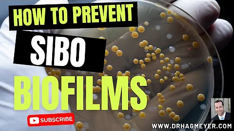 SIBO and Biofilms- Do I need to take biofilm disru...