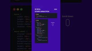 Scroll down animation using CSS | HTML & CSS