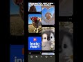 LISA THROUGH DUCKS|Ft.Pinterest|Requested|#lisa #ducks #pinterest #viral #edit #fypシ