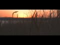 АТМОСФЕРНОЕ ВИДЕО | Sunset