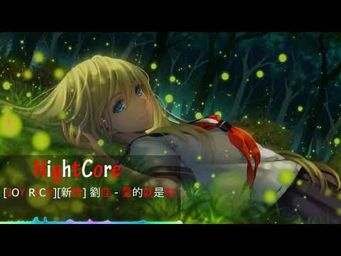 NightCore - [JOY RICH]  [新歌] 劉佳 - 愛的就是你