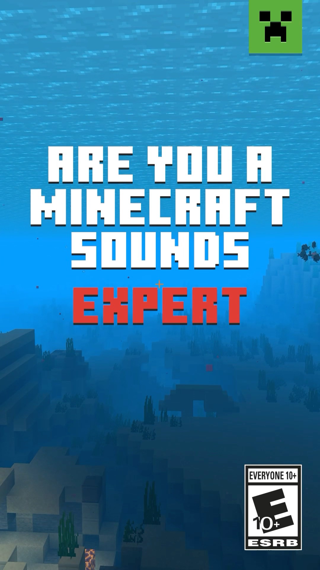MINECRAFT SOUND QUIZ