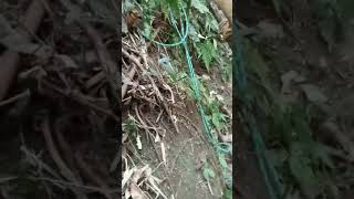 Brahmaputra Board Testing Tunnel With Webcos Ind Ltd. Work Done By Shree Pashupatinath Construction