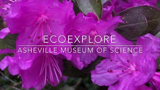 Ecoexplore With Amos