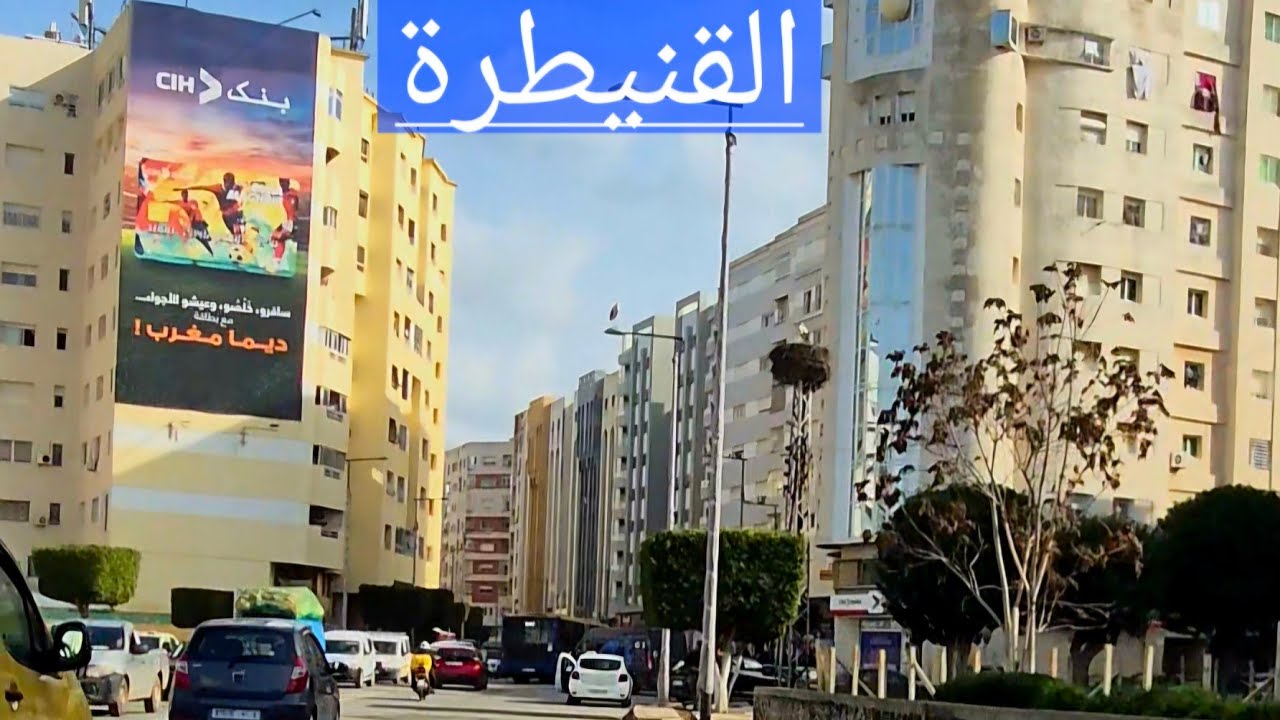 جولة قنيطرية من ميموزا الى الساكنية 