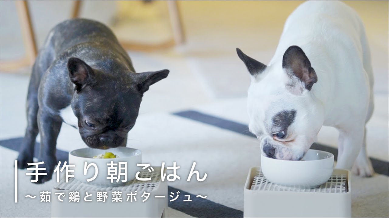 【フレブル多頭飼い】犬用手作り朝ごはん〜茹で鳥と野菜ポタージュ〜
