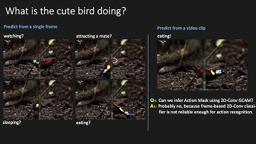 Learning a Weakly-Supervised Video Actor-Action Segmentation Model With a Wise Selection