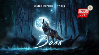 💥ВЫ ТОЛЬКО ПОСЛУШАЙТЕ ЭТОТ ГОЛОС! Волк - Братья Егоровы / ПРЕМЬЕРА 2024!