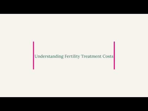 Understanding Fertility Treatment Costs