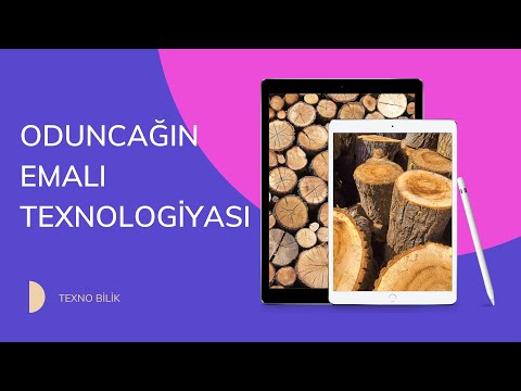 Video: Bərk Ağacdan Hazırlanmış Mebel Panelləri: Palıd Və Ağcaqayın, şam Və Digər Ağacdan Seçimlər, Taxta Fasadların ölçüləri