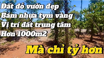 cần tiền lo con ăn học anh LAI cắt mảnh vườn tâm huyết của mỉnh ở trung tâm thị trấn sang lại giá rẻ