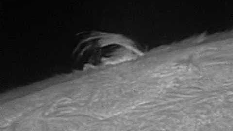 Petite protubérance rapide du 05/05/2013 entre 16h58 et 17h23 (TU+2h)