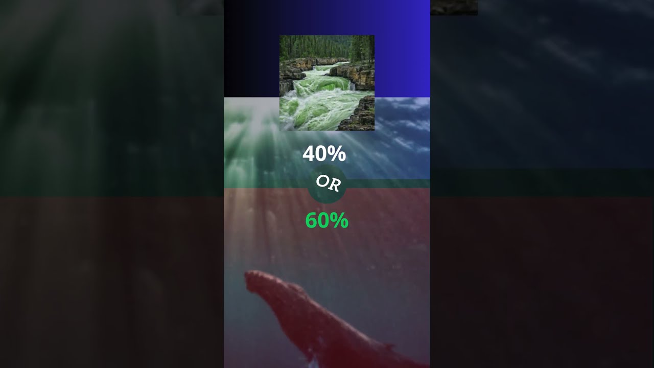 Get To Know Me Answering Would You Rather Questions Quiz Game Whatwouldyourather Time