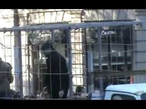 უცნობი რუსთაველზე საკანში ჩამოატარეს