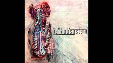 Fear and The Nervous System - No Secret