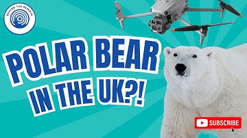 The DJI Matrice 4T A Real World Review