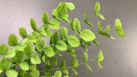 ABC TV | How To Make Silver Dollar Eucalyptus With Crepe Paper - Craft Tutorial