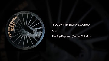 XTC - I Bought Myself A Liarbird (Center Cut L/R Isolation Mix)
