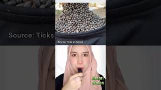 CARA AMPUH AGAR SELAMAT DARI LINTAH ⁉️😱 | Betari Wulan