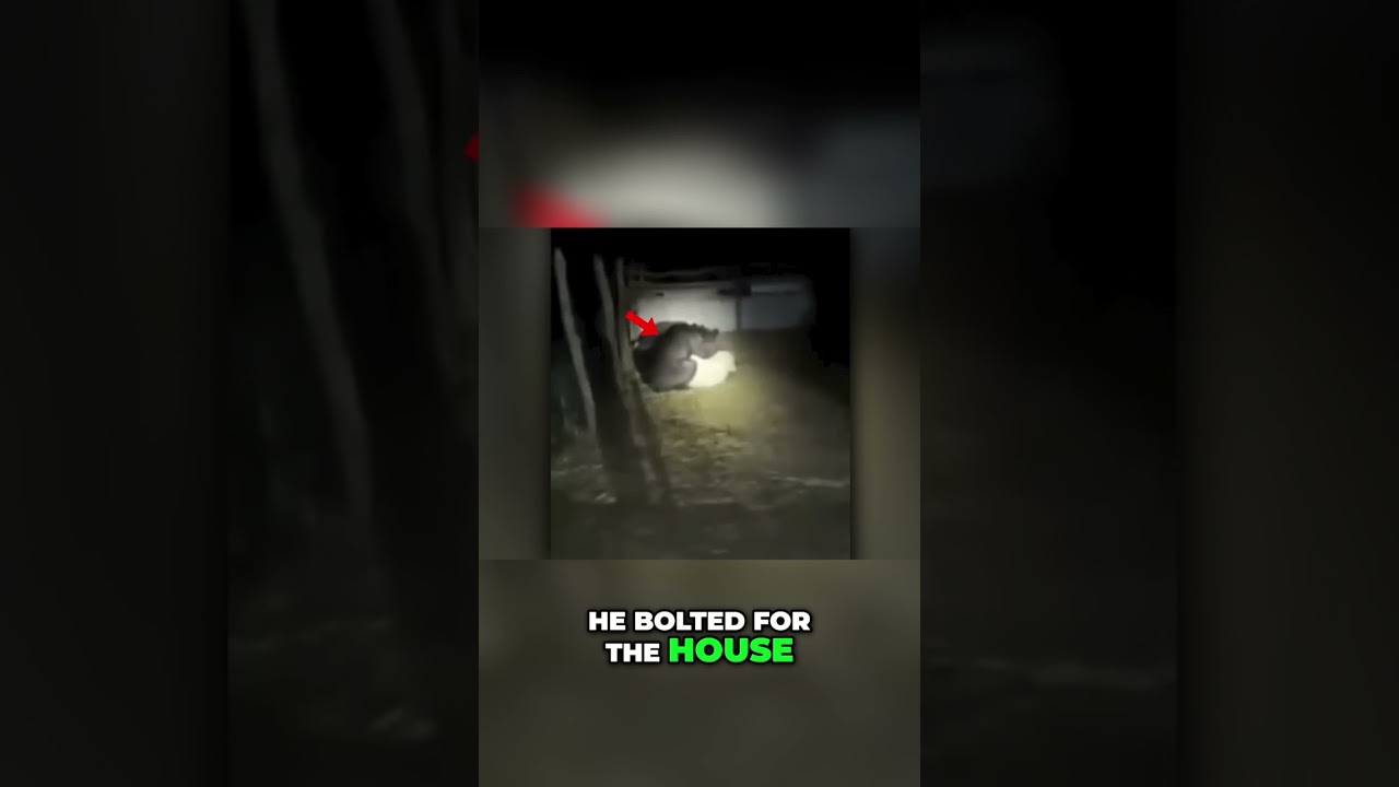 Chupacabra? Farmer's Terrifying Encounter 