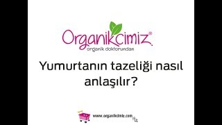 18- Yumurtanın tazeliği nasıl anlaşılır?