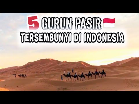 Video: Apakah contoh persaingan di padang pasir?