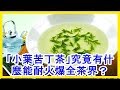 「小葉苦丁茶」究竟有什麼能耐火爆全茶界？