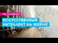 Искусственный интеллект на ферме | Как это работает