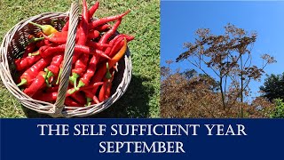 The Self Sufficient Year Month by Month - September