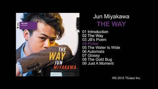 Jun miyakawa / 04 pulse (official sound sample from album "the way")