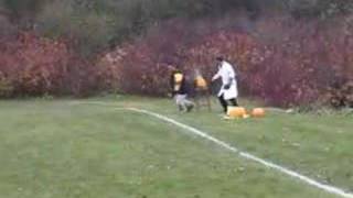 Exploding Pumpkins