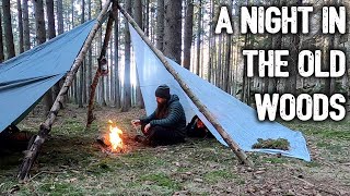 My Last Overnighter in the Old Forest?
