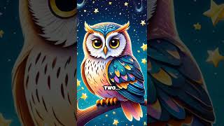 Or Owl Counts Dreamy Stars At Bedtime Resimi