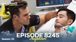 Neighbours Season 35 Episode 8245 (2019)