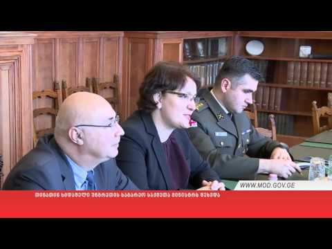 თინათინ ხიდაშელი უნგრეთის საგარეო საქმეთა მინისტრს შეხვდა